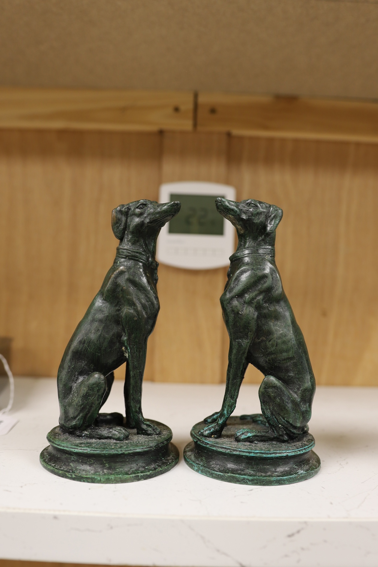 A pair of bronze seated whippets, 16.5cm high. Condition - fair